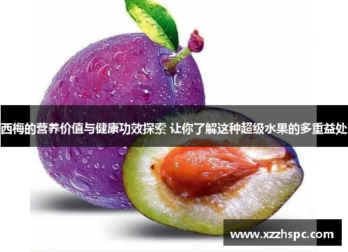西梅的营养价值与健康功效探索 让你了解这种超级水果的多重益处
