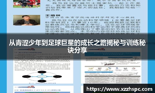 bsports官网入口
