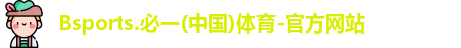 B体育官网